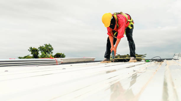 Best Roof Coating and Sealing  in Rosharon, TX