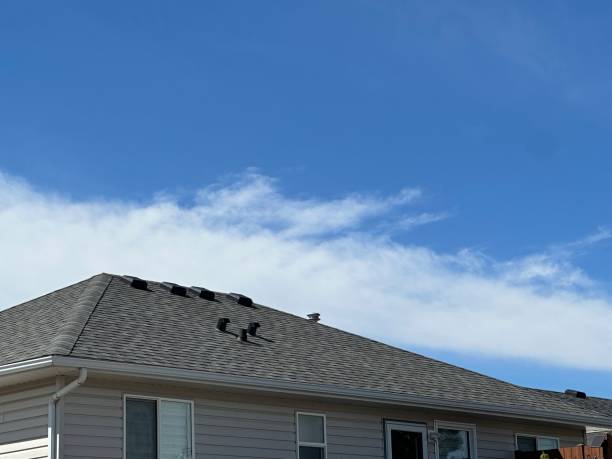 Best Commercial Roofing Services  in Rosharon, TX